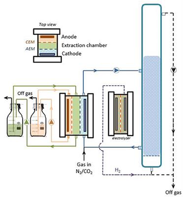 Membrane Electrolysis Assisted Gas Fermentation for Enhanced Acetic Acid Production